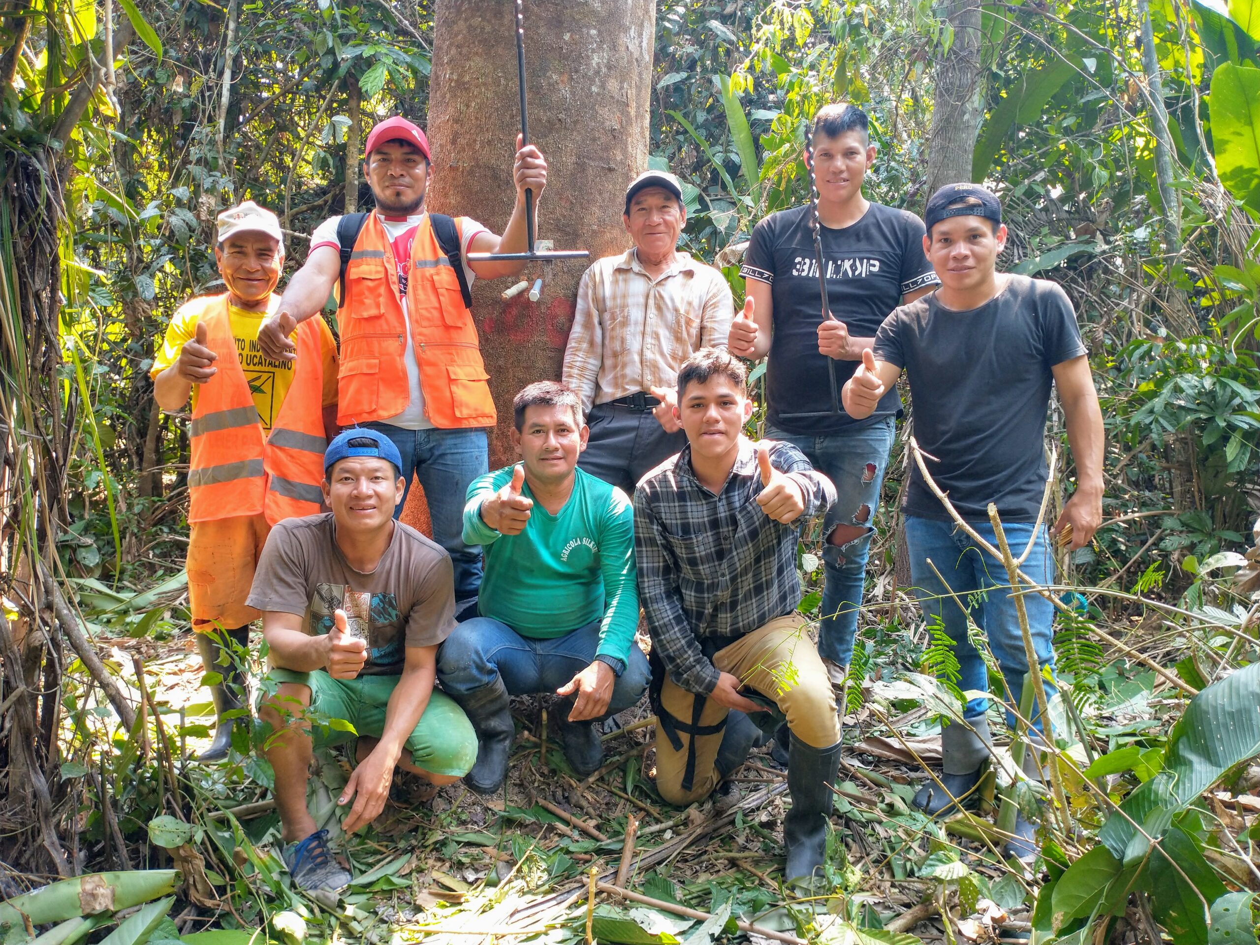 Trabajo de campo Copaiba